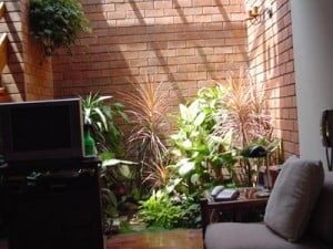 Un Jardín Interior