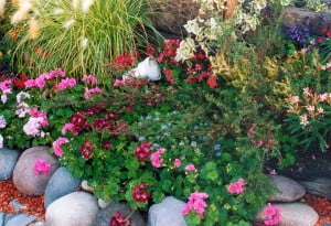 Jardin, un lugar mágico