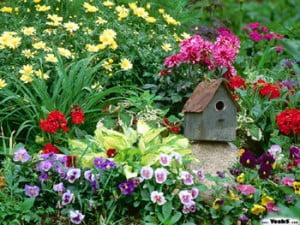 Muchos colores en el jardín