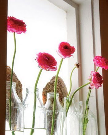 Flores en la ventana