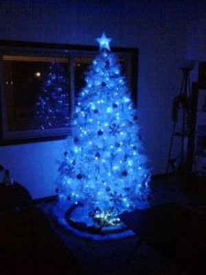 arbol blanco4