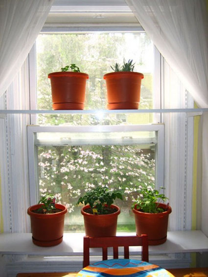 Añade plantas a la decoración interior