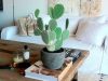 Diversas opciones para decorar con cactus