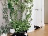 Cómo integrar la naturaleza en tu hogar con la decoración de plantas