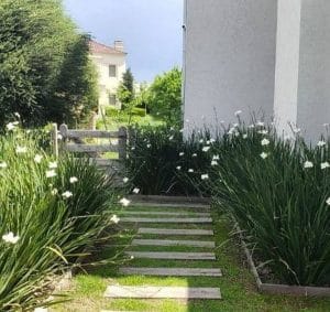 Jardines para frentes de casas