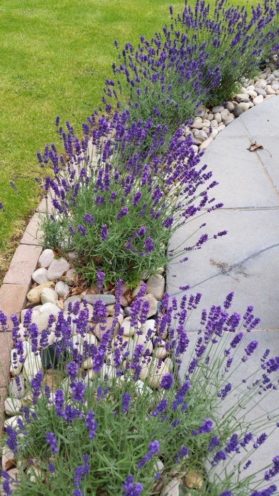 Diseño Creativo: Jardines Pequeños para Frentes de Casas