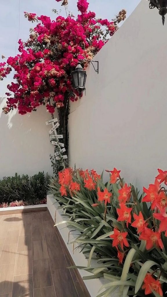 ideas patio exterior