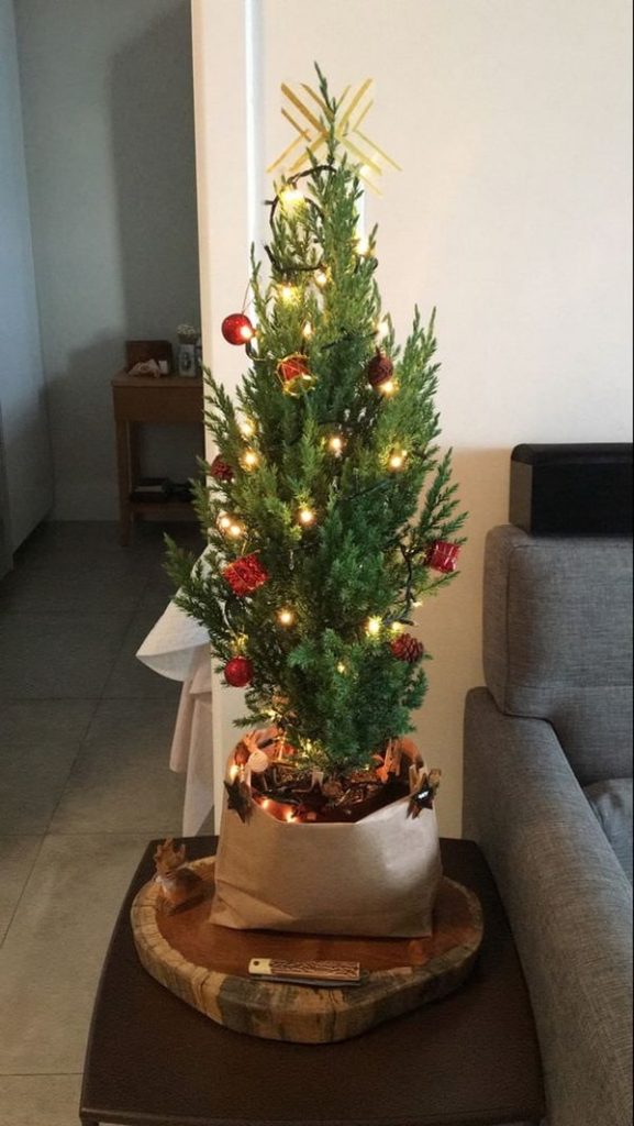 navidad 2024 